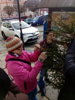 IMG_20161122_100340