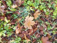 08-IMG_20181106_092123