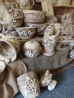 IMG_20190314_112853