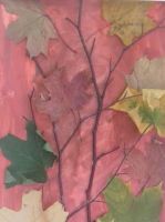 14-16-20191017_120333