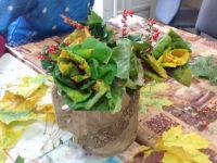 23-32-20191002_104444