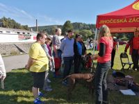 13-IMG_20200908_102343