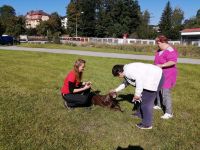 27-IMG_20200908_102823