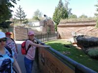 29-IMG_20200728_121424