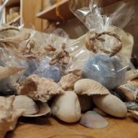 290633558_5517925484885758_7652540916951309611_n7