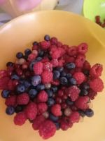 IMG_20220725_081305_1