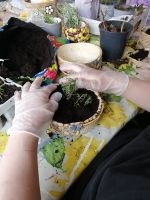 IMG_20220427_100932