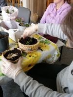 IMG_20220427_100936