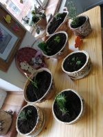 IMG_20220427_111043