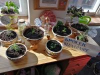IMG_20220428_091302