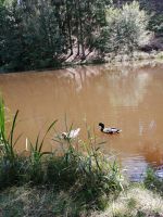 IMG_20220714_121213