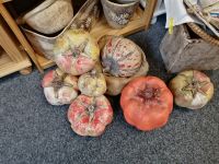 IMG_20220823_141214