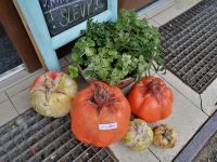 IMG_20220823_141229