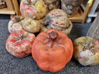 IMG_20220823_141240