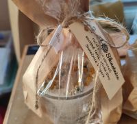 291512778_5526571627354477_4558239474246300174_n