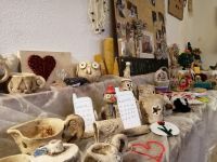 IMG_20220308_094828