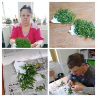 IMG_20241011_090607-COLLAGE