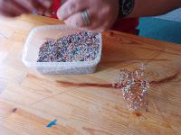 IMG_20240722_094253