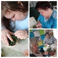 IMG_20250312_130525-COLLAGE