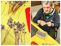 20250612_092608-COLLAGE