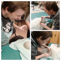 IMG_20250120_081532-COLLAGE