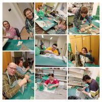 IMG_20251111_080619-COLLAGE