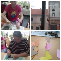 IMG_20250707_085343-COLLAGE