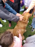 IMG_20260910_103254