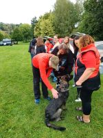 IMG_20260910_103646