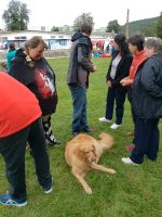 IMG_20260910_103915